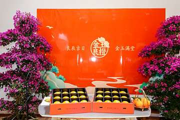 2020赣南脐橙网络博览会北京分会场在国际金融博物馆举行