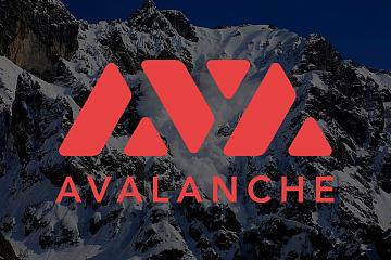 Avalanche完成2.3亿美元私募融资， Polychain和Three Arrows Capital领投