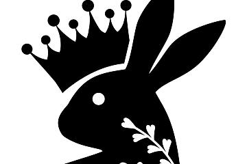 CoinW上线 RabbitKing Token  “兔年”概念币行情或将开启